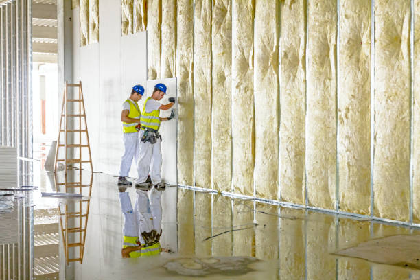 Best Specialty Insulation in Mount Zion, GA